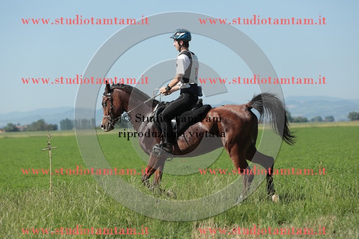 MAT_9492.JPG