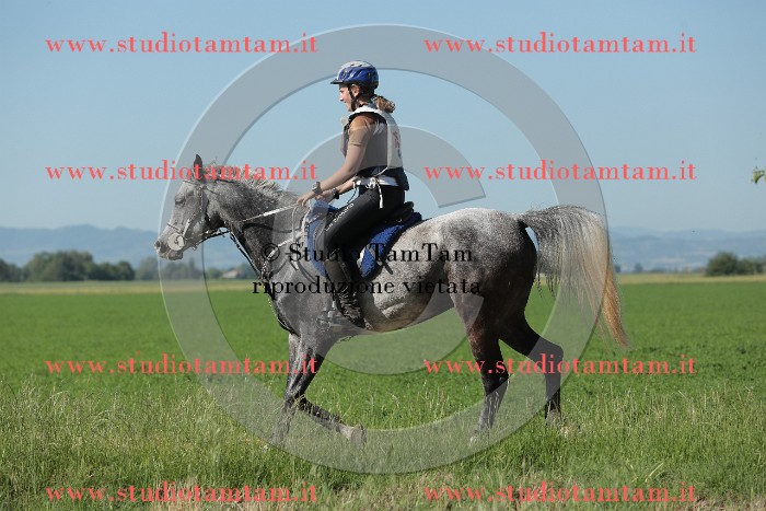 MAT_9497.JPG