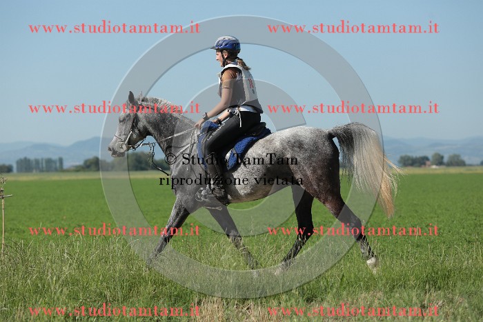 MAT_9498.JPG