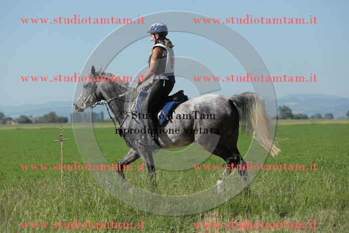 MAT_9499.JPG
