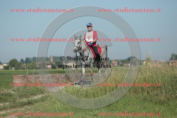 MAT_9500.JPG
