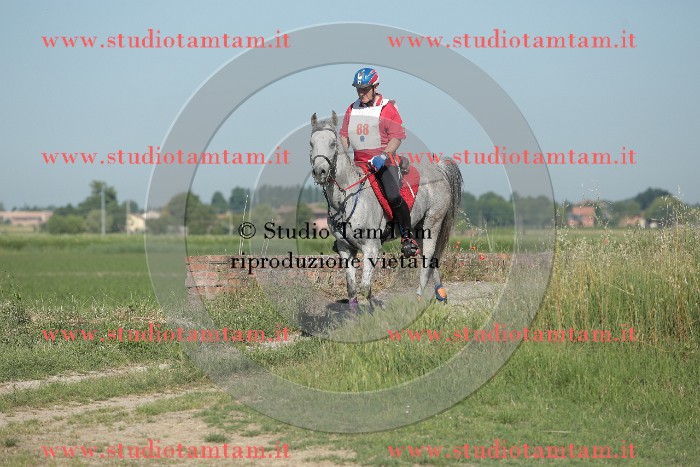 MAT_9502.JPG