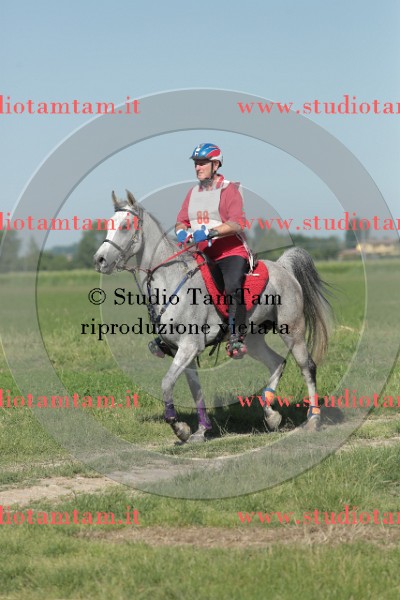 MAT_9503.JPG