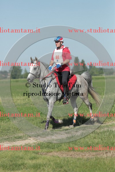 MAT_9504.JPG