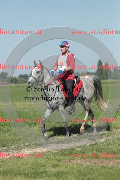 MAT_9505.JPG