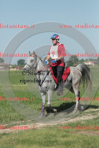 MAT_9506.JPG