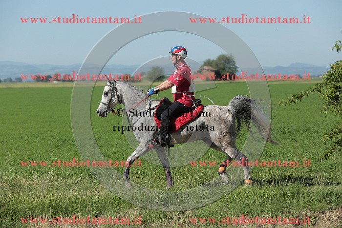 MAT_9508.JPG