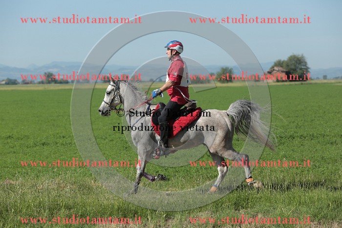 MAT_9509.JPG