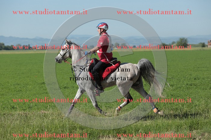 MAT_9510.JPG