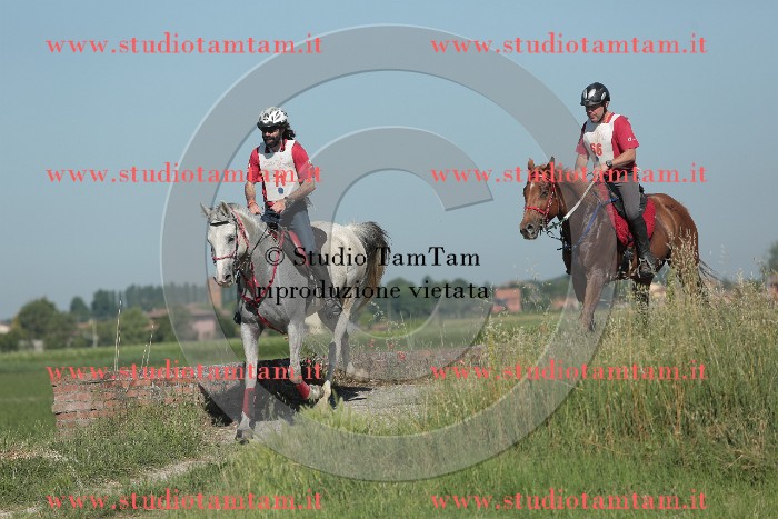 MAT_9512.JPG
