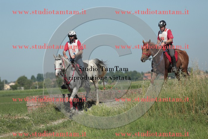 MAT_9513.JPG