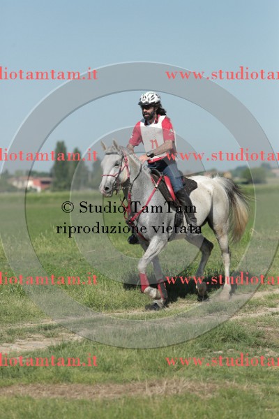 MAT_9515.JPG