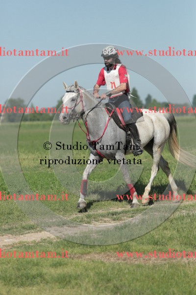 MAT_9517.JPG