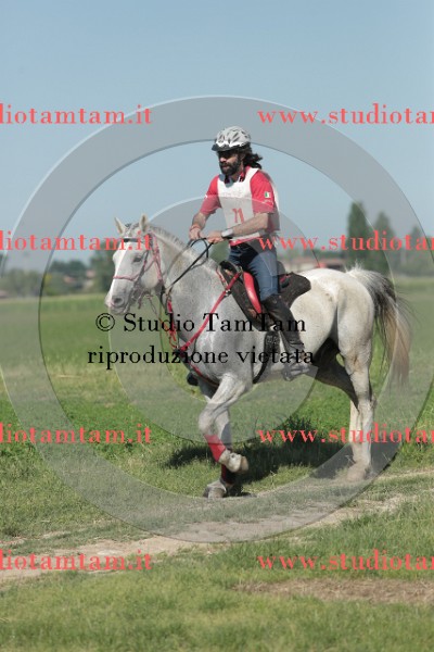 MAT_9518.JPG