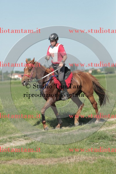 MAT_9519.JPG