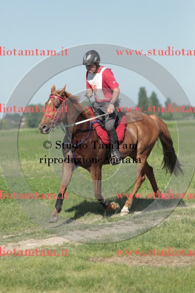 MAT_9521.JPG