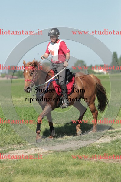 MAT_9522.JPG