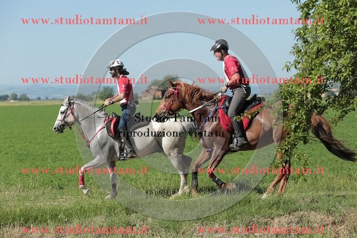 MAT_9523.JPG