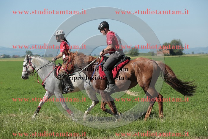 MAT_9525.JPG