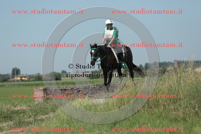 MAT_9906.JPG