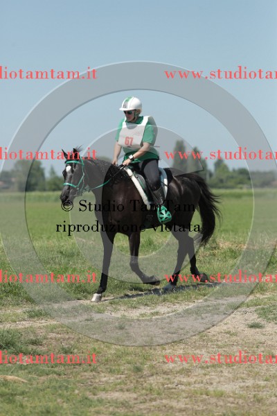 MAT_9908.JPG