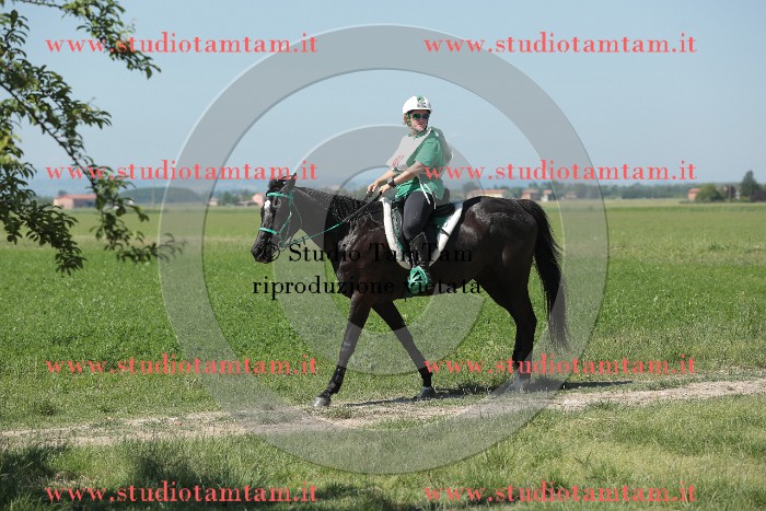 MAT_9910.JPG