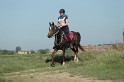 MAT_9321