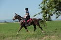 MAT_9325