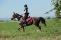 MAT_9326