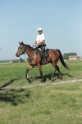 MAT_9348
