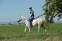 MAT_9374
