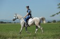 MAT_9376
