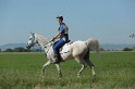 MAT_9377