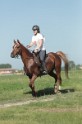 MAT_9428