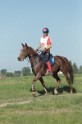 MAT_9442
