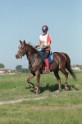 MAT_9443