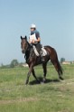 MAT_9446