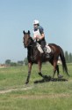 MAT_9448