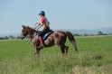 MAT_9454