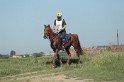 MAT_9463