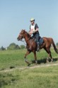 MAT_9467