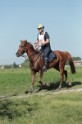 MAT_9468