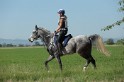 MAT_9496