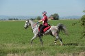 MAT_9508