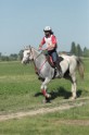 MAT_9518