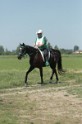 MAT_9907