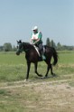 MAT_9908