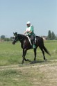 MAT_9909