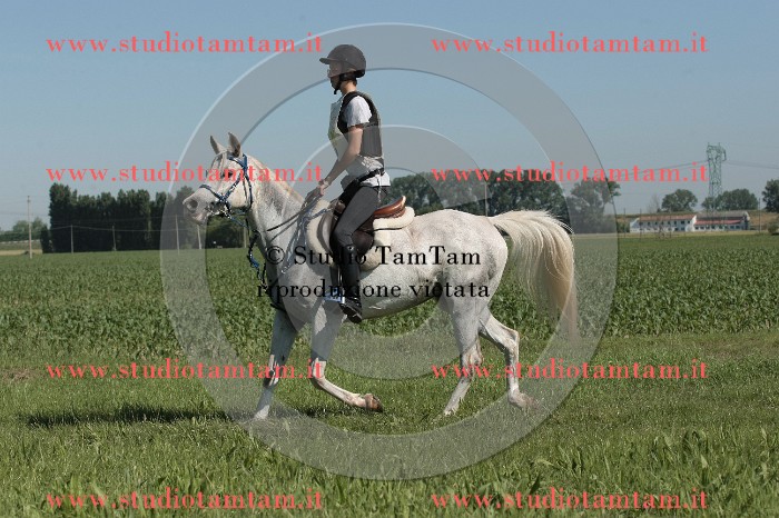 IMGB7396.JPG