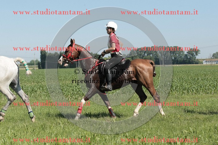 IMGB7419.JPG